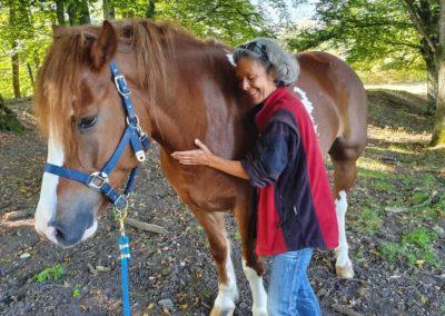 Prise de contact - Trame - Cheval